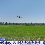 农业防灾减灾救灾指南发布 多措并举保秋粮丰收