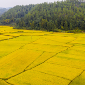 我国累计建成高标准农田超10亿亩