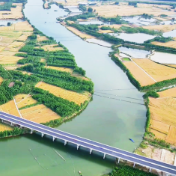 中国饭碗成色更足