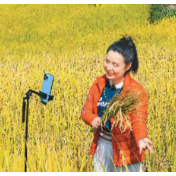悄然成为“新农活” 为农民直播卖粮打通信任通道