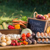 “十四五”时期我国加快构建多元化食物供给体系