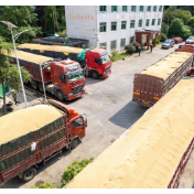 做好秋粮收购，需在这五方面下功夫！