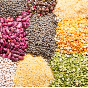 推动粮食和重要农产品价格保持在合理水平