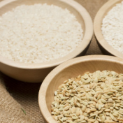 大米备货需求渐显 新米上市提速