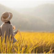 秋分，粮食丰收在望！