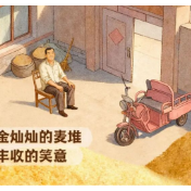 中国农民丰收节 | 从高效卖粮到安心储粮，一图看丰收新“智”景