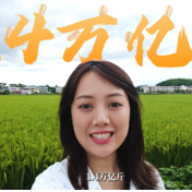 连年丰收! 实地揭秘1.4万亿斤粮食怎么“数”