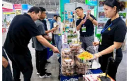 新技术、新成果、新渠道——从种子“双交会”看我国种业新趋势