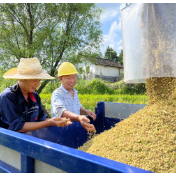 让丰收成果颗粒归仓