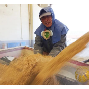 啥是种粮农民收益保障机制？如何保障农民收益？