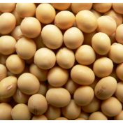 2025年我国累计进口粮食超1.4亿吨，大豆进口1.12亿吨