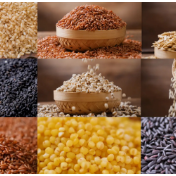 “杂粮热”推动农业转型升级