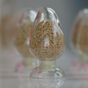 “中国粮”主要用上了“中国种”