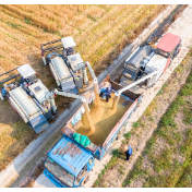 粮食大事丨如何发挥粮食产业富民强县作用