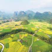 农业农村部：加力实施新一轮千亿斤粮食产能提升行动