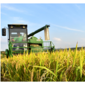 粮食产量再创历史新高，农业农村部最新发声！