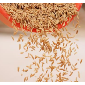 从种子创新看三重优势