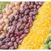 FAO食品价格指数上月呈下滑态势