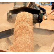 2025，大国粮仓家底更厚！