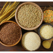 2026年国内粮食市场：“底盘”更稳，“波澜”更小