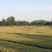 加快粮食安全全链条风险识别和监测预警体系建设