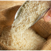 普拉博沃宣布印尼2025年实现粮食自给