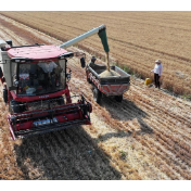 人民网评:粮食安全没有“休止符”
