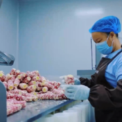 从“边陲山货”到“全球商品”,深山小玉米借“链”挺进大市场