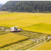 财政部：2025年安排高标准农田建设资金1766亿元