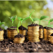 构建高效精准金融服务体系 为粮食安全保驾护航