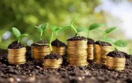 构建高效精准金融服务体系 为粮食安全保驾护航