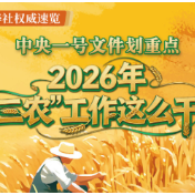 速览丨中央一号文件划重点，2026年“三农”工作这么干