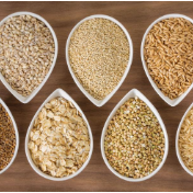 应对粮食降价、滞销，中央一号文件提出的“适销对路”如何实现？