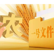 中央一号文件的这些提法，值得关注！