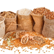 学者:粮食稳得住,也要卖得好