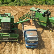 筑牢大国粮仓根基 引领农业提质增效