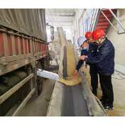 全国秋粮累计收购超3亿吨 为近年来较高水平