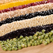 刘焕鑫：推动国家全谷物行动计划落地见效