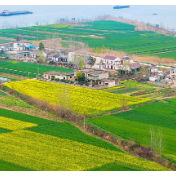 从全国两会，读懂中国粮食高位丰收的密码