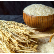 粮食能源两大指标意在夯实国家安全重要基础保障