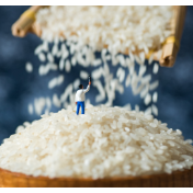 我国提出的3项粮油领域ISO国际标准成功立项 为全球粮油检测技术贡献中国方案