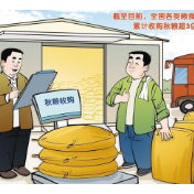 秋粮收购开局良好