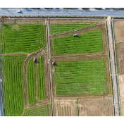 万象“耕”新 智绘“丰”景——各地春耕春管一线扫描