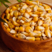 玉米“中国芯”：从一粒良种到万里粮川的科技跨越