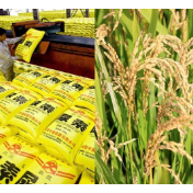 全球瞭望丨德媒：美以伊战事或危及全球粮食安全