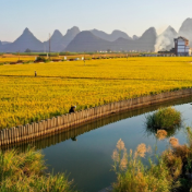 擦亮粮食生产生态底色