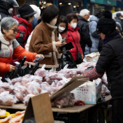 米价上涨 韩国政府将紧急投放15万吨储备米