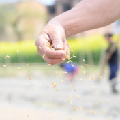 强农惠农富农 这些补贴可领