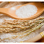 去年粮食总产、单产增幅均居全省前列 娄底粮食生产量质齐升