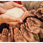 宋微:中东战争加剧全球系统性粮食危机